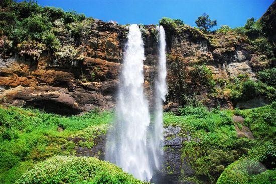 9 Days Murchison falls, Kidepo valley and Pian upe wildlife safari