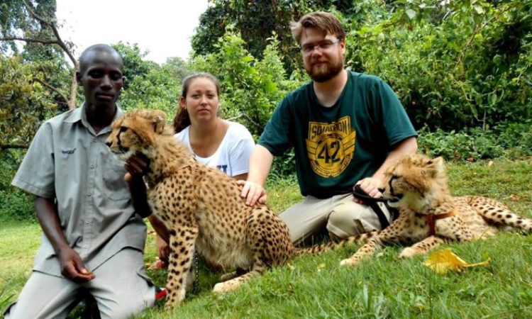 Uganda's Wildlife Encounters
